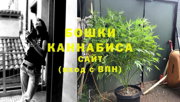 дживик Белокуриха