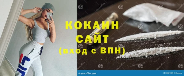 дживик Белокуриха