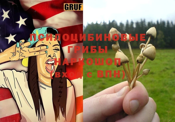 дживик Белокуриха