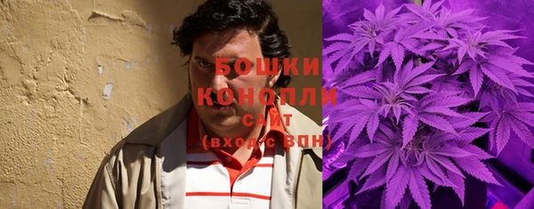 прущие грибы Беломорск